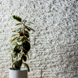 stackstone rockpanel wall in the background in a white colour with a plant to the left and wooden flooring in front