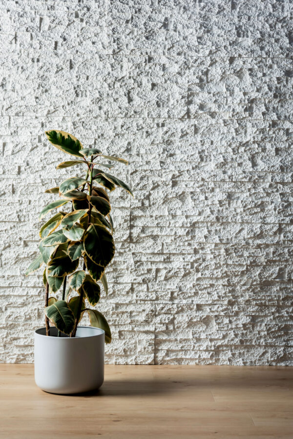 stackstone rockpanel wall in the background in a white colour with a plant to the left and wooden flooring in front