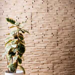 ledgestone rockpanel wall in a sand colour with a plant to the left and wooden flooring in front