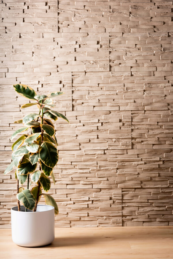 ledgestone rockpanel wall in a sand colour with a plant to the left and wooden flooring in front