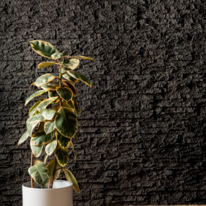 stackstone black rockpanel wall in the background with a plant to the left and wooden flooring in front