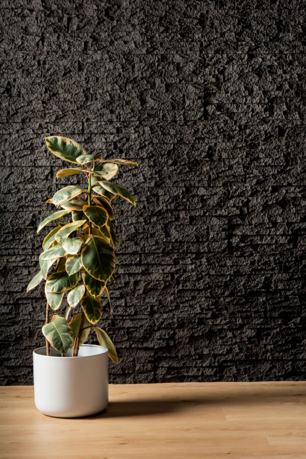 stackstone black rockpanel wall in the background with a plant to the left and wooden flooring in front