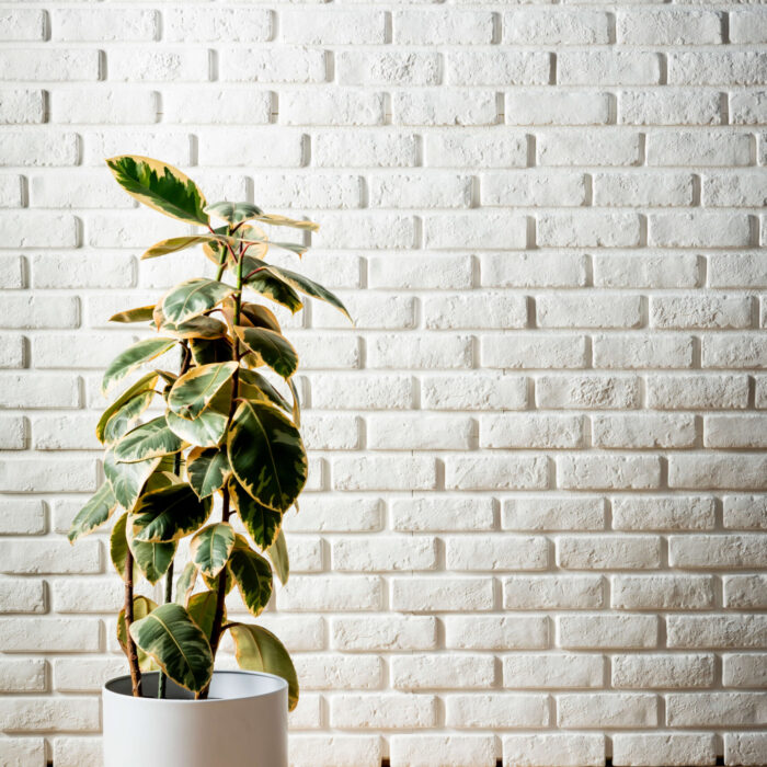 Brickstone - White