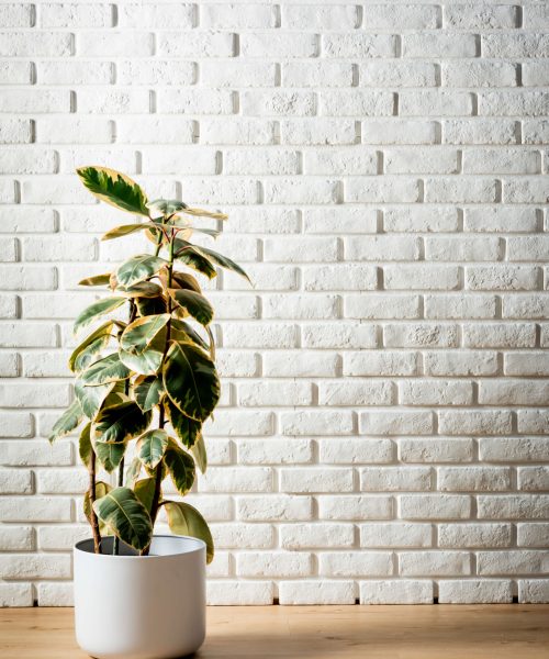 Pyramid-Panels-Brickstone-White-RockPanel-6-scaled-1.jpg